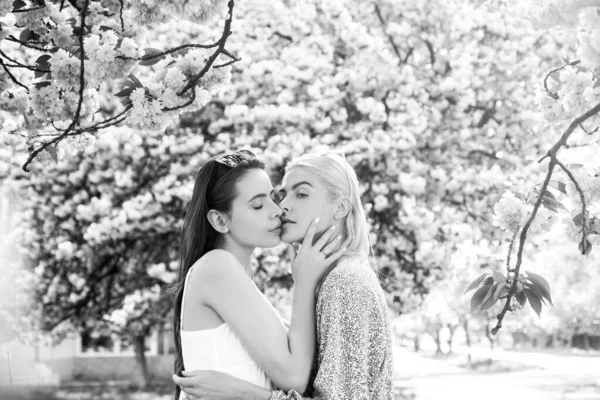 Весняні Дівчата Лесбійські Подружжя Цілуються Прекрасна Весняна Сексуальна Дівчина Квітами — стокове фото