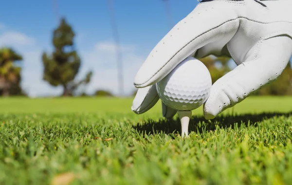 用高尔夫球手套把高尔夫球放在高尔夫球场的球座上 草地上的高尔夫球 — 图库照片