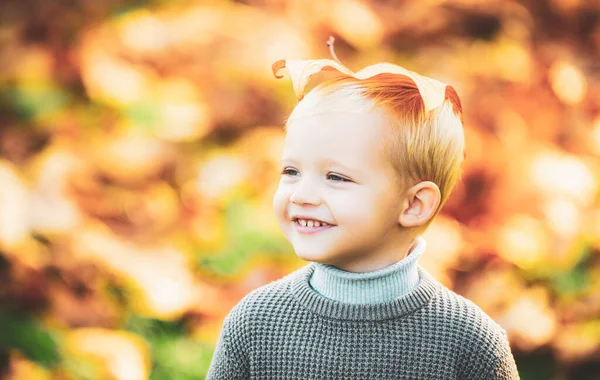 Outono Criança Feliz Divertir Brincar Com Folhas Douradas Caídas Menino — Fotografia de Stock