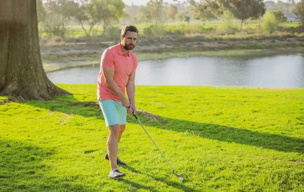 Golfçü akşam golf sahasında golf oynuyor. Güneşin altında golf oynayan bir adam.
