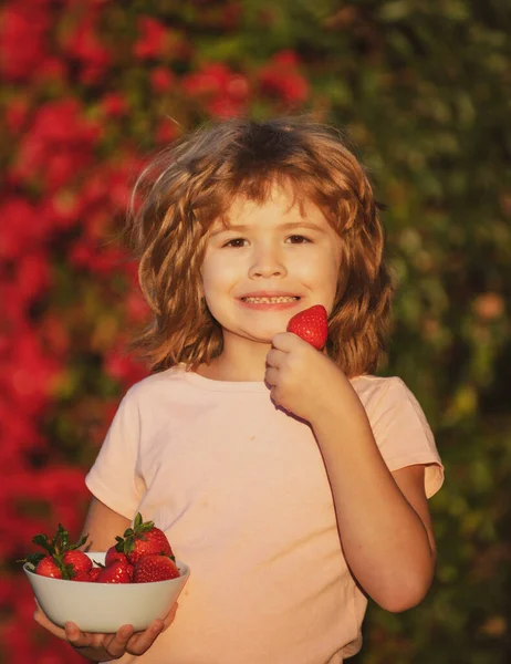 小さな男の子がイチゴを選んで食べます イチゴを食べる子供 — ストック写真
