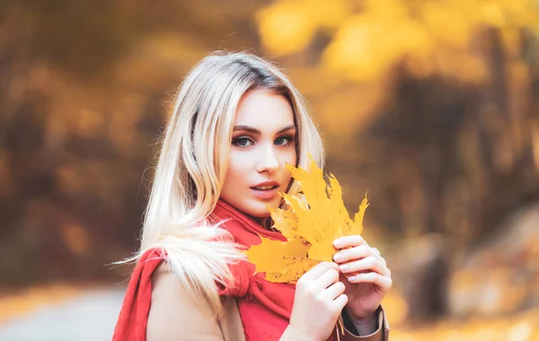 Mulher Atraente Segurando Folhas Amarelas Caídas Menina Vestindo Cachecol Aconchegante — Fotografia de Stock
