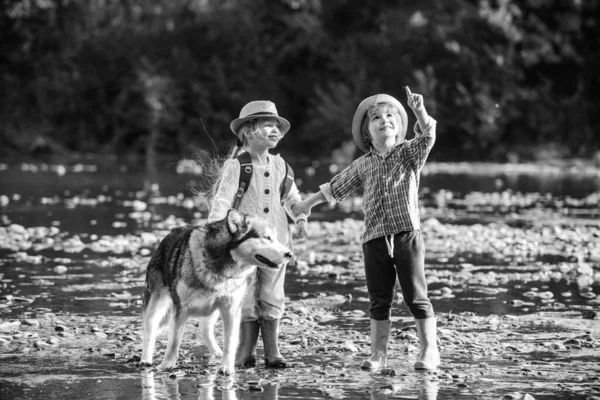 Een Jong Jongetje Meisje Met Hond Buiten Spelend Een Rivier — Stockfoto
