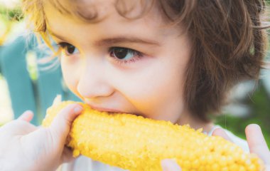 Tatlı mısır yiyen sevimli çocuğa yakın çekim. Erkek çocuk göğsü açık sarı mısır yiyor ve komik bir yüz, yeşil doğa geçmişi var. Taze organik mısır