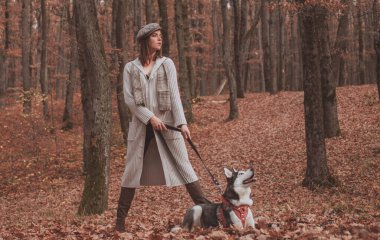 Koşulsuz sevgi. Sibirya Husky 'sinin en sevdiği hayvan. Hayvan yetiştiriciliği. Güz ormanı köpeğiyle yürüyen şık bir kız. Soylu köpek konsepti. Kız köpeğiyle yürümekten hoşlanıyor. En iyi arkadaşlar.