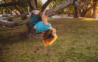 Komik dağcı çocuk. Çocuk ağaçta baş aşağı asılı duruyor. Çocuklar tırmanır