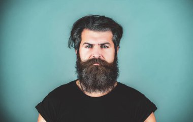 Uzun sakal. Mükemmel sakal. Mavi arka planda duran genç sakallı adamın yakın çekimi..