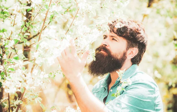 Primavera Mio Padre Passa Del Tempo Fattoria Concetto Impianto Agricoltore — Foto Stock