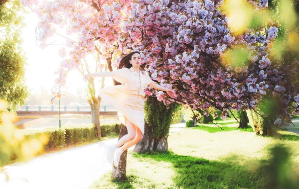 Meisje Springt Roze Kersenbloesem Park Vakantie Met Meisje Sakura Meisje — Stockfoto