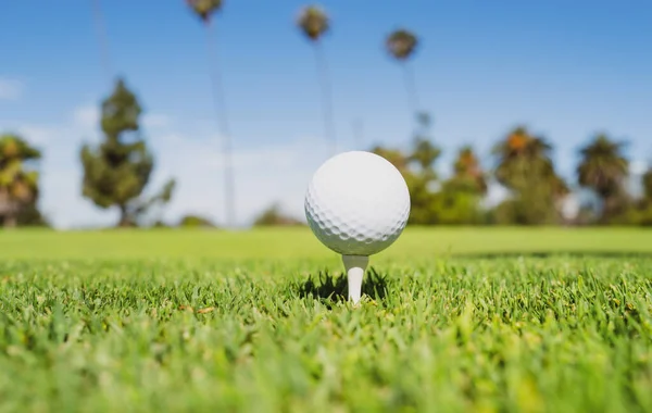 Bola Golfe Relva Bola Golfe Está Tee Fundo Grama Verde — Fotografia de Stock