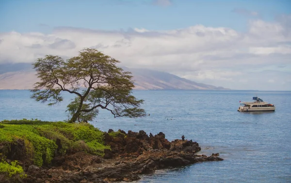 Пейзаж Спокойный Пляж Гавайи Фон Тропический Гавайский Рай — стоковое фото