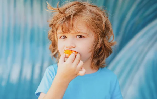 Kleiner Junge Beim Plätzchenessen Freien Einem Sonnigen Sommertag Mittagessen Für — Stockfoto