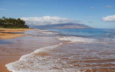 Hawaii 'deki doğa manzarası, berrak denizde palmiye ağacı olan tropikal plaj.