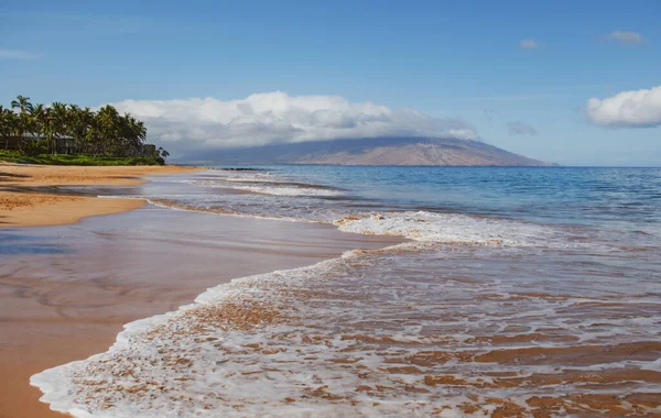 夏威夷的自然景观 热带海滩 棕榈树在晶莹清澈的大海中 — 图库照片