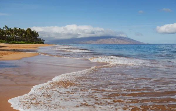 Naturlandschaft Auf Hawaii Tropischer Strand Mit Palme Kristallklaren Meer — Stockfoto