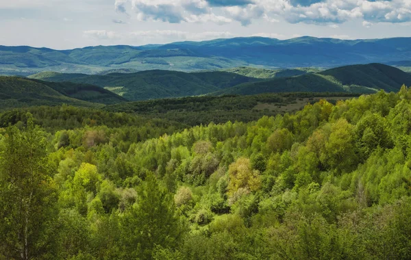 Seyahat Arazisi Tepe Dağ Kenarı Çimenli Manzara Doğadaki Ahşap Panorama — Stok fotoğraf
