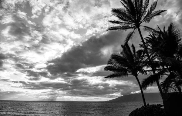 Tengerpart Maui Szigetén Aloha Hawaii — Stock Fotó