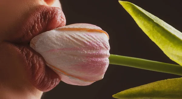 Nahaufnahme Perfekte Natürliche Lippe Mit Make Weiblicher Mund Saugen Lecken — Stockfoto