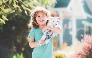Arkadaşlarına sarıl. Mutlu çocuk evcil köpeğini kucaklıyor.