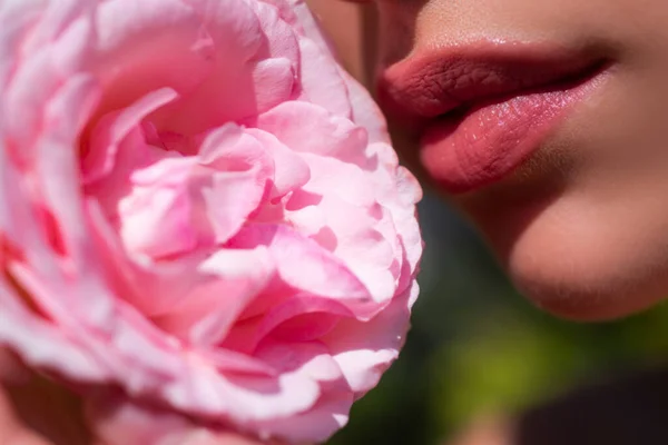 Labios Rosas Pintura Natural Los Labios Labios Sensuales Hermosa Modelo —  Fotos de Stock
