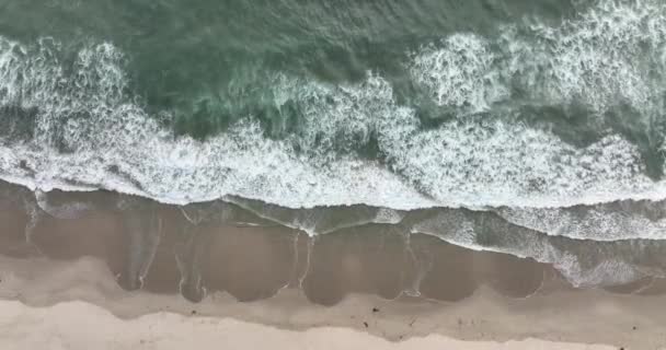 Okyanus Kumlu Plajı Güzel Deniz Vahşi Sahil Tropik Plajın Üst — Stok video