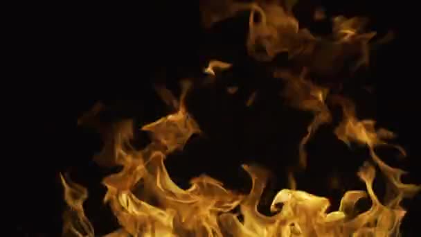 Koncept Hoření Ohnivá Textura Plamene Plameny Ohně Překrývají Pozadí Efekt — Stock video