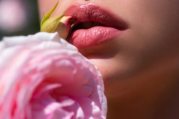 Lippen Met Veerroos Mooie Vrouwelijke Lippen Met Naakte Lippenstift — Stockfoto