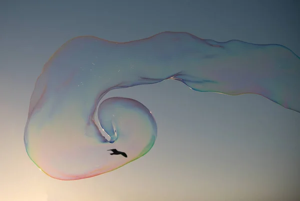 石鹸の泡だ 青い空にカラフルな石鹸バブル — ストック写真