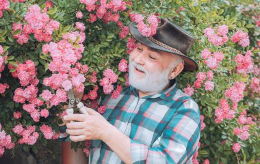 Baharda sakallı yakışıklı bir adamın portresi. Köy hayatı. Çiçek ekiyorum. Kovboy şapkalı mutlu çiftçi tarlada eğleniyor.