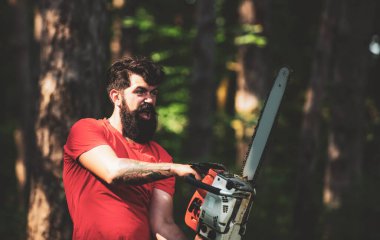 Ciddi yüzdeki oduncu elektrikli testere taşır. Bıçkıhanede elektrikli testereli bir oduncu. Sakallı yakışıklı bir genç adam ağaç taşıyor. Kereste hasadı