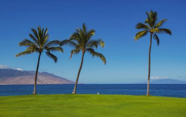 Tropik plaj geçmişi. Sakin turkuaz dalgalı kumsal. Maldivler, mükemmel manzara, kopyalama alanı