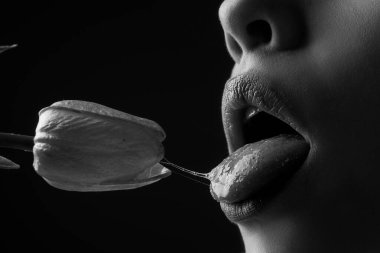 Oral sex, orgasm, blowjob, licking flower. Girl lips with tulips. Sensual sexy female mouth and spring flowers