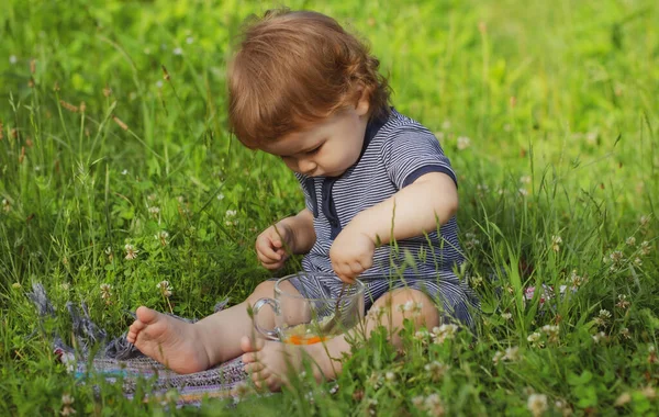 Criança Bebê Brincando Campo Ensolarado Verão Livre Crianças Estilo Vida — Fotografia de Stock