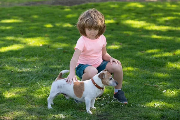 Happy child and dog hugs her with tenderness smiling. Cute boy child with dog relaxing on park. Kid caress dog