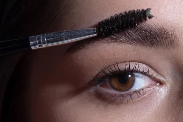 Eyebrow Makeup Professional Care Brows Coloring Lamination Macro Close Brows — Stockfoto