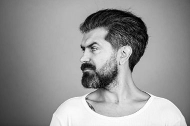 Berber dükkanı. Sakallı adamın portresi. İzole edilmiş. Uzun sakal ve bıyık.