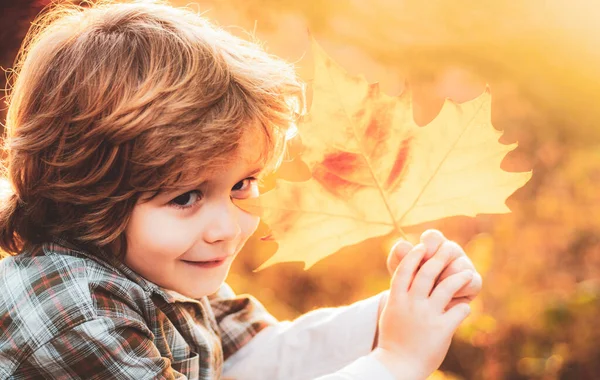 Retrato Outono Pequeno Menino Bonito Perto Crianças Menino Brincando Com — Fotografia de Stock