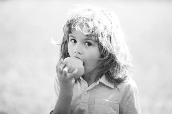 年轻的乡下男孩在苹果园或农场里吃苹果 — 图库照片