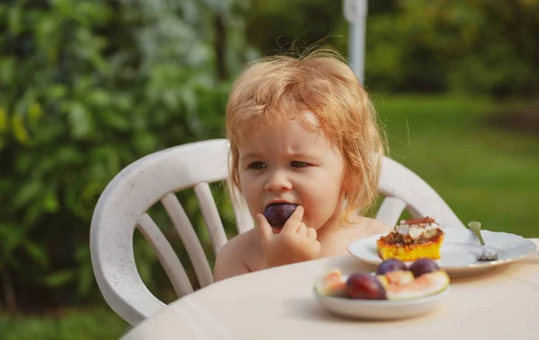 Baby Eating Cake Feeding Kids Child Eating Fruit Garden Summer — Stock Photo, Image