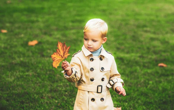 Φθινοπωρινό Παιδί Διασκεδάστε Και Παίξτε Πεσμένα Χρυσά Φύλλα Φθινοπωρινά Φύλλα — Φωτογραφία Αρχείου