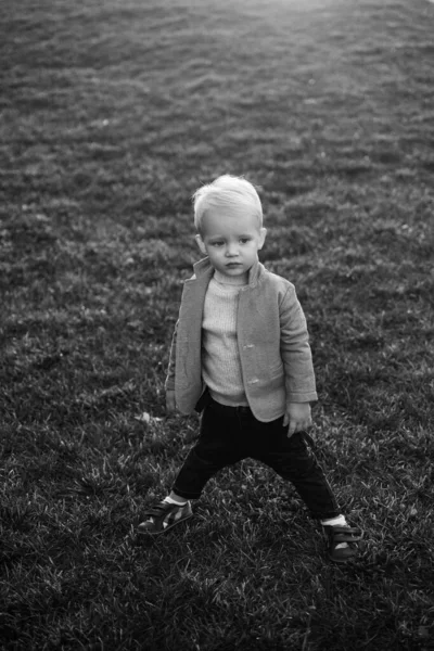 黄色の葉を持つ秋の公園でかわいい赤ちゃん その少年は公園の紅葉の中に座っている 小さい子だ黄金の秋晴れた日 甘いです赤ちゃん男の子遊び秋の公園 — ストック写真