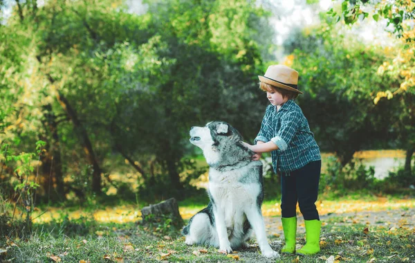 Crianças Amorosamente Abraça Seu Cão Estimação Memórias Infância Crianças Acampar — Fotografia de Stock