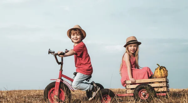 귀여운 아이들 농장에서 자전거를 있습니다 아이들은 농부의 개념입니다 아이들은 농사를 — 스톡 사진