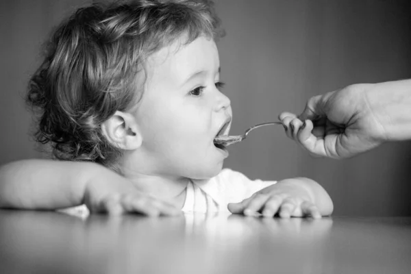 Sked Matar Barnet Mor Ger Hälsosam Mat Till Sitt Bedårande — Stockfoto