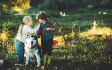 Kamp turizmi ve tatil kavramı. Tasasız çocukluk. Küçük sarışın bir kız ve evcil köpeği parkta gezen sevimli bir oğlan. Çocukluk anıları