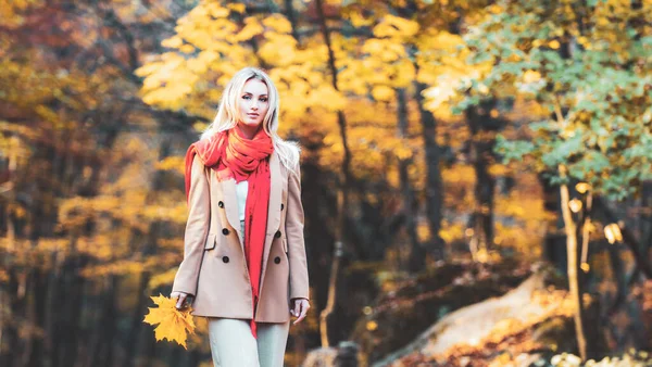 Mode Hübsche Frau Modell Posiert Über Gelben Blättern Hintergrund — Stockfoto