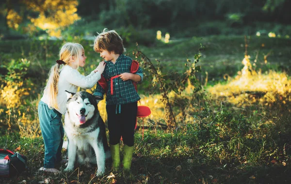 Camping tourism and vacation concept. Carefree childhood. A little blond girl and cute boy with her pet dog outdooors in park. Childhood memories