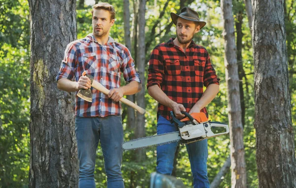 Man woodcutter holding ax. Axe in lumberjack hands cutting wood. Lumberman with a chainsaw in forest. Concept of a professional logging woodcut. Forest workers