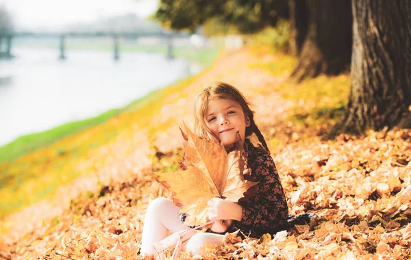 Девочка Гуляет Осеннем Парке Прекрасный Осенний День — стоковое фото