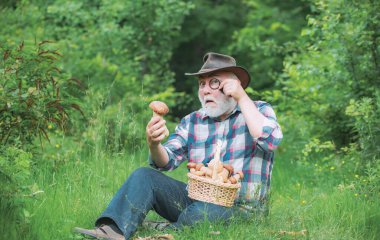 Ormanda mantar, ormanda mantar toplayan kıdemli adam. Mantar sepeti ve sürpriz bir yüz ifadesi ile Büyükbaba